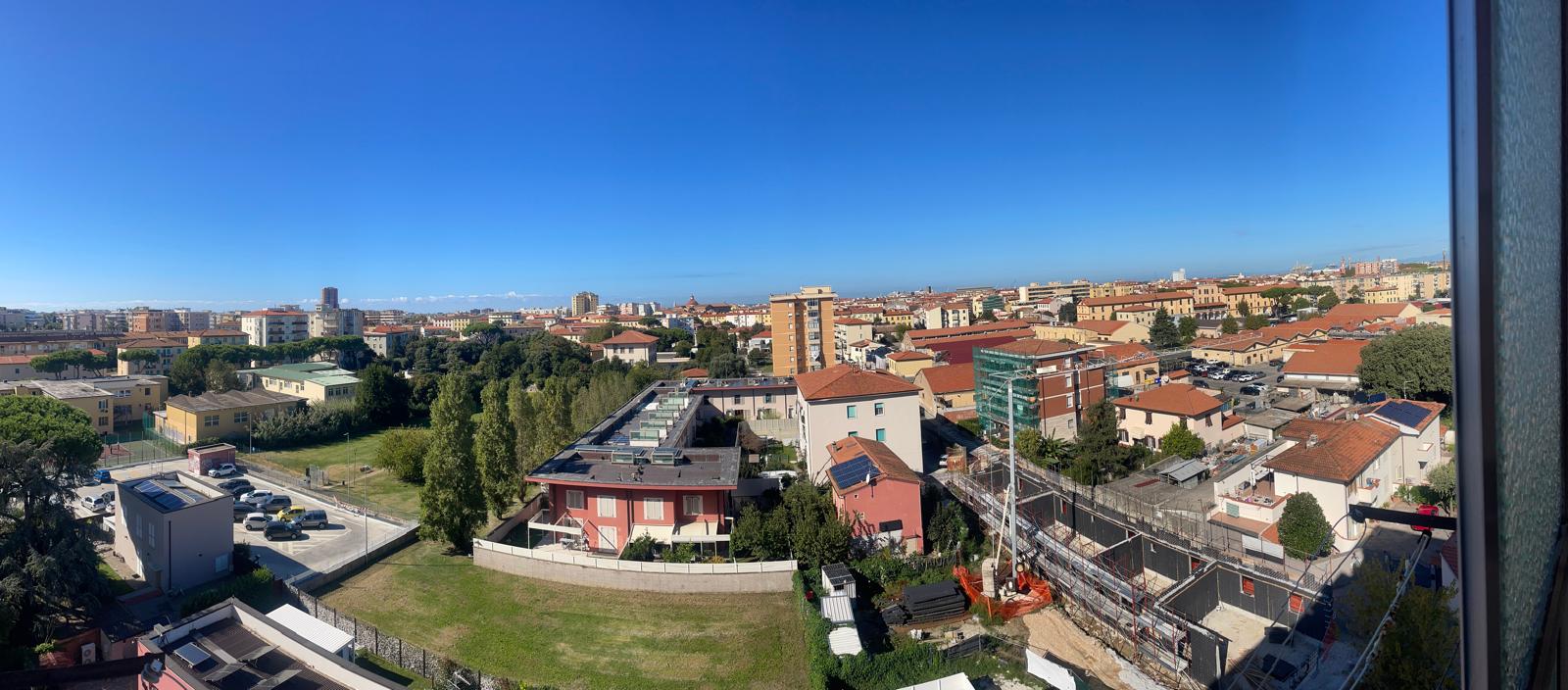 Vista